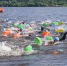 Кинешма и Плёс примут Кубок Чемпионов по плаванию на открытой воде - Ивановская газета