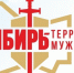 Стартовал приём заявок на участие в региональной премии «Сибирь – территория мужества» - Департамент молодёжной политики
