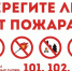 Берегите лес: как не допустить пожар и что делать, если он возник - Городищенский район