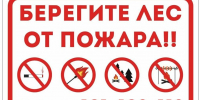 Берегите лес: как не допустить пожар и что делать, если он возник - Городищенский район