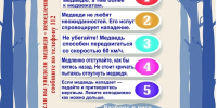На кладбище в Нижневартовске медведь разрыл могилуфото - Комсомольская Правда