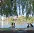 На завтра ульяновцам обещают 33-градусную жару - Ulpravda.Ru