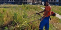 В Краснодаре в текущем сезоне выкосили более 30 тысяч гектаров сорняков - Новая Газета Кубани