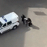 Владимирцы стали свидетелями полицейской операции во дворе школы - Zebra-TV.Ru