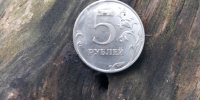 В лесах Ленобласти стали выполнять ритуал на сбор грибов - 47 новостей