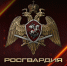 Ключевые события Росгвардии: итоги недели с 10 по 16 августа (видео) - Росгвардия