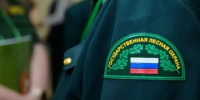 В лесном фонде Оренбуржья продолжает действовать пожароопасный сезон - Министерство природных ресурсов