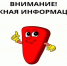 Болезнь Ньюкасла: как защитить птиц на подворье. - Юргамышский муниципальный округ