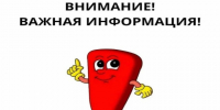 Болезнь Ньюкасла: как защитить птиц на подворье. - Юргамышский муниципальный округ
