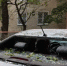 101 заявка на компенсацию: в Таганроге помогают владельцам авто, пострадавших от атак БПЛА - Ростов161