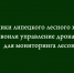 Для наблюдения за лесами специалисты липецкого лесного хозяйства освоили работу с беспилотными аппаратами - Народное слово
