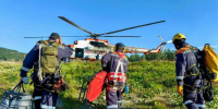 В лесу заблудиться легче легкого - Мурманский вестник