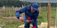 Похороны прошли тихо: дочь легендарной певицы Альфии Авзаловой проводили в последний путь - TatPressa.Ru