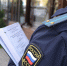 Судебные приставы Ивановской области добились восстановления четверти гектара леса - УФССП России