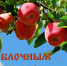 Яблочный Спас 19 августа: картинки и открытки к празднику - Сиб.фм