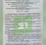 Детсад №378 повторно закрыт на карантин - 31TV.RU