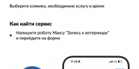 Как записать питомца к ветеринару на Госуслугах - Сеченовский муниципальный округ
