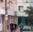 Горожане прислали видеозапись с предполагаемыми похитителями бычков с маршрута - Общественное мнение