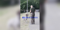 Воронежцы возмутились бездействием МВД после нападения курцхаара в Центральном парке - ГТРК Воронеж
