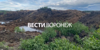 Фидлот «Заречное» попал под 3 дела после жалоб воронежцев на ужасную вонь - ГТРК Воронеж