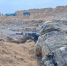 В ожидании обмена: Севастополь борется за возвращение пленных></div>
	<div class= - Вести.Севастополь