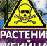 Очаги ядовитых растений выявлены на полях орловского агропредприятия - OrelTimes.Ru