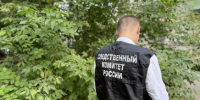 В Ульяновской области заключен под стражу мужчина, обвиняемый в причинении смерти своему знакомому - Следственный комитет