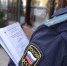 В Ивановской области предприятие восстановило четверть гектара леса после штрафа и угрозы приставов - Сетевое издание Ивановские новости