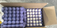 Более 350 тысяч тонн продукции животного происхождения экспортировано из Санкт-Петербурга и Ленинградской области - Россельхознадзор
