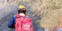 Больше 160 пожаров потушили на Ставрополье за последнюю неделю - ATVmedia.Ru