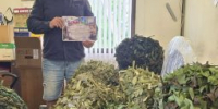 Благодарность с фронта - Заневское городское поселение