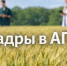 Путевка в профессию: выпускница Брянского ГАУ пополнила штат ООО «Сельхозник» - Департамент сельского хозяйства