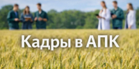Путевка в профессию: выпускница Брянского ГАУ пополнила штат ООО «Сельхозник» - Департамент сельского хозяйства