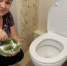 Сосновые иголки пересыпаю солью и добавляю уксус — ржавчина и мочевой камень в унитазе исчезают без следа: в туалете аромат хвойного леса - Progorod58.Ru