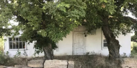 Дом художника Мартироса Сарьяна под Ростовом отреставрируют после десятилетий запустения - DonDay.Ru