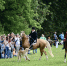 209607 - OrelTimes.Ru