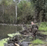 Число бобров в Нижегородской области за пять лет увеличилось почти на 2 000 особей - Министерство лесного хозяйства