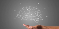 Nature Neuroscience: мозг способен перестраивать поврежденные участки - ИА Общественная служба новостей