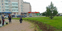 Забота о родном городе: троичане преображают улицы своими руками - Газета Регион