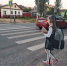 Прокуратура помогла установить у школ в Красном Холме светофоры - Афанасий-биржа