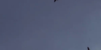 В Ростовской области объявили ракетную опасность вечером 18 августа - DonDay.Ru