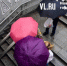 Во Владивостоке сегодня возможен дождь - NewsVl.Ru
