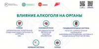 С 17 по 23 августа Министерство здравоохранения РФ проводит Неделю отказа от алкоголя - Мирнинский район