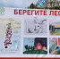 В лесах Бурятии ничего не горит - ИА Байкал-Daily