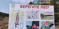 В лесах Бурятии ничего не горит - ИА Байкал-Daily