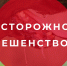 Избегайте контакта с дикими и безнадзорными животными! - Администрация г. Белово