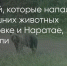Поделитья во ВКонтакте - Братская Студия Телевидения