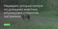 Поделитья во ВКонтакте - Братская Студия Телевидения