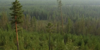 За сутки в Якутии потушили 11 пожаров на площади - Yakutia-Daily.Ru