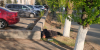 Бурятия трезвеет на глазах - Газета Номер один